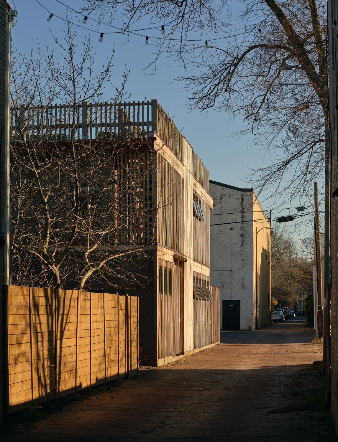 Cork Countertops, Insulation & Facade - Overbeck Alley House -&nbsp; DC