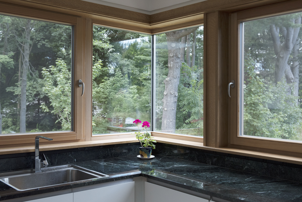 Prospect Street - Bildau & Bussmann Windows and Doors - Kitchen