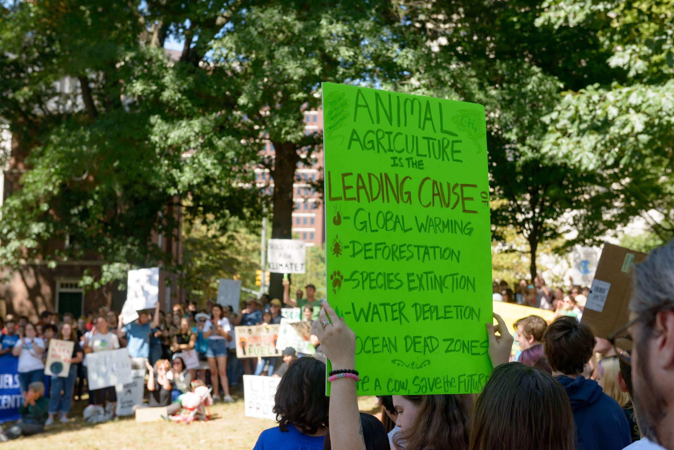 Climate Change Protesters at Virginia Capitol Square