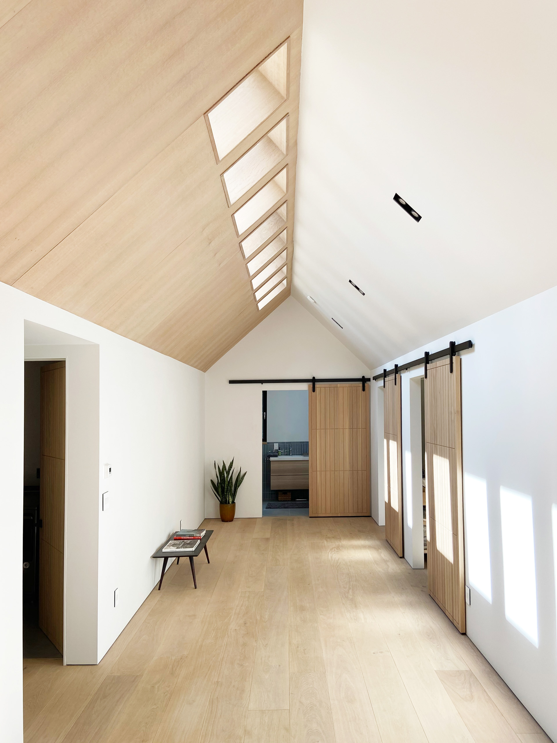 Hall Skylights - Photo by Meg Matyia