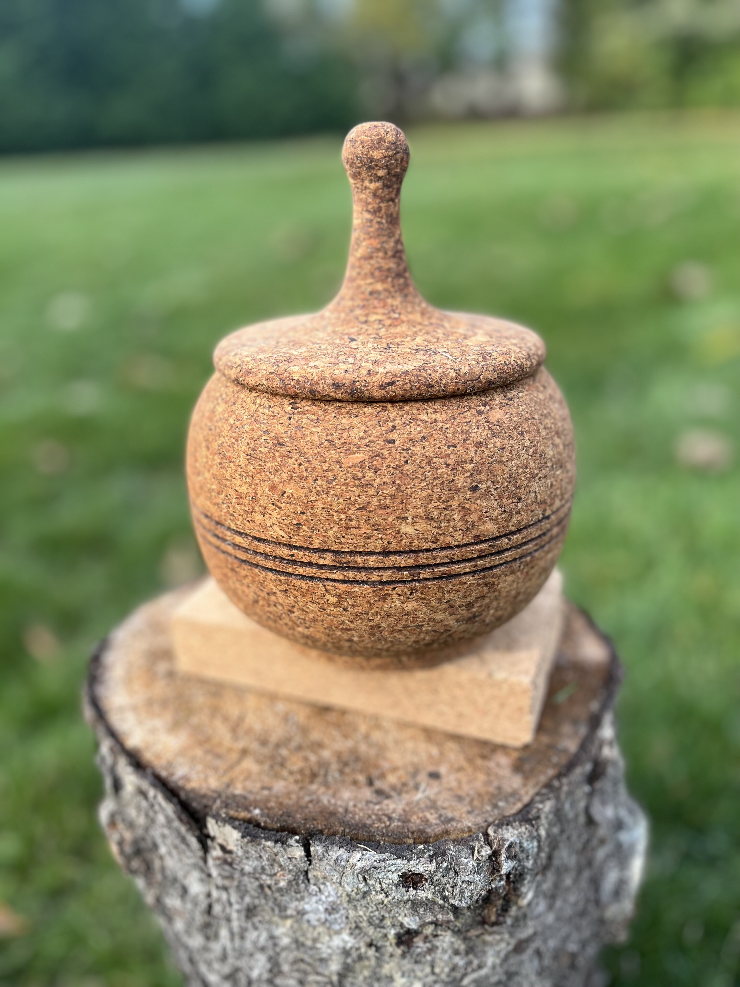 Beautiful Cork Home Decor by Ed Kiernan