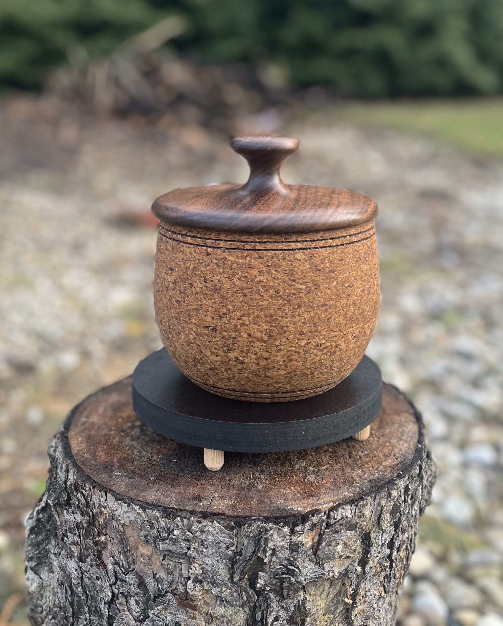 Beautiful Cork Home Decor by Ed Kiernan