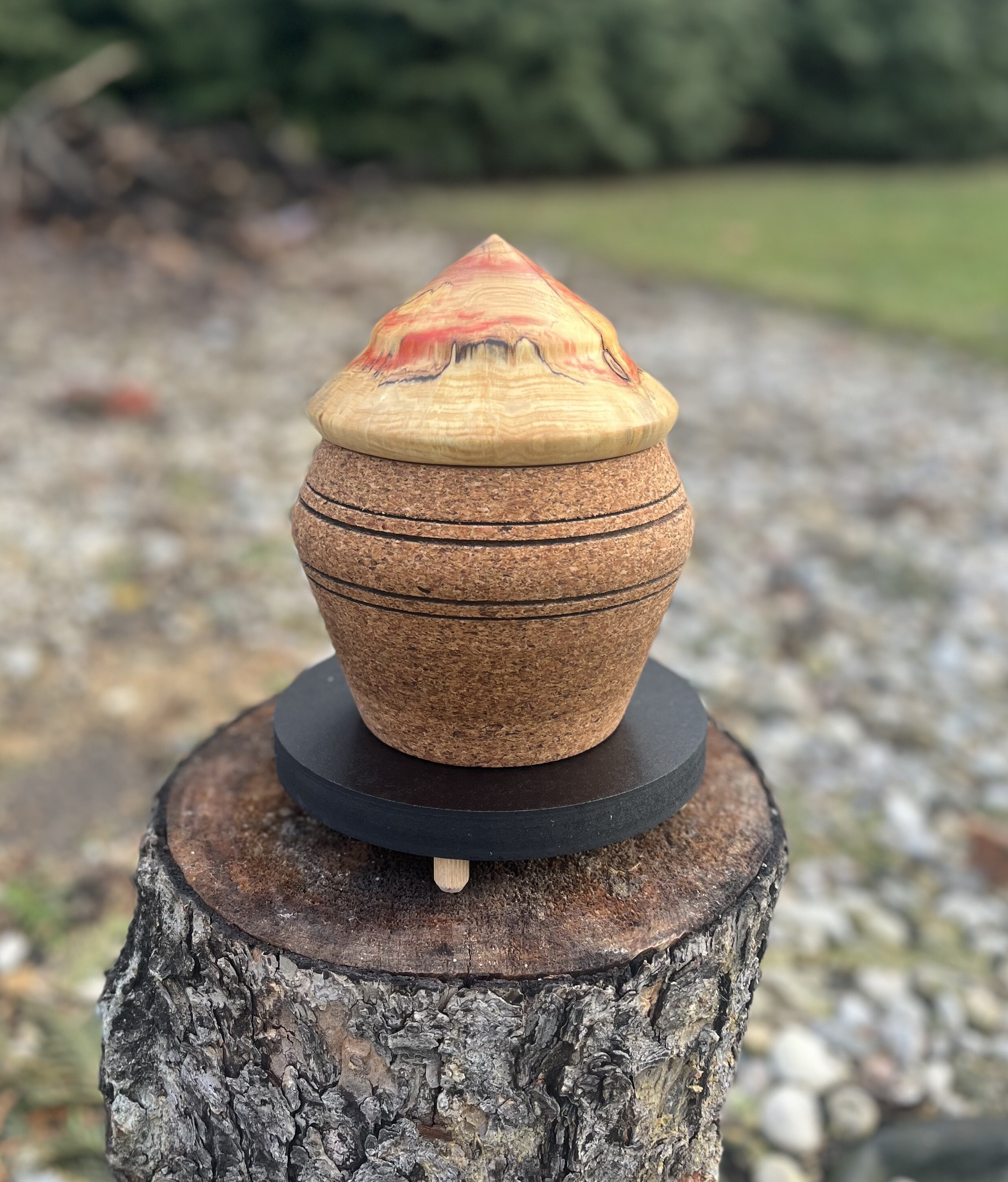 Beautiful Cork Home Decor by Ed Kiernan