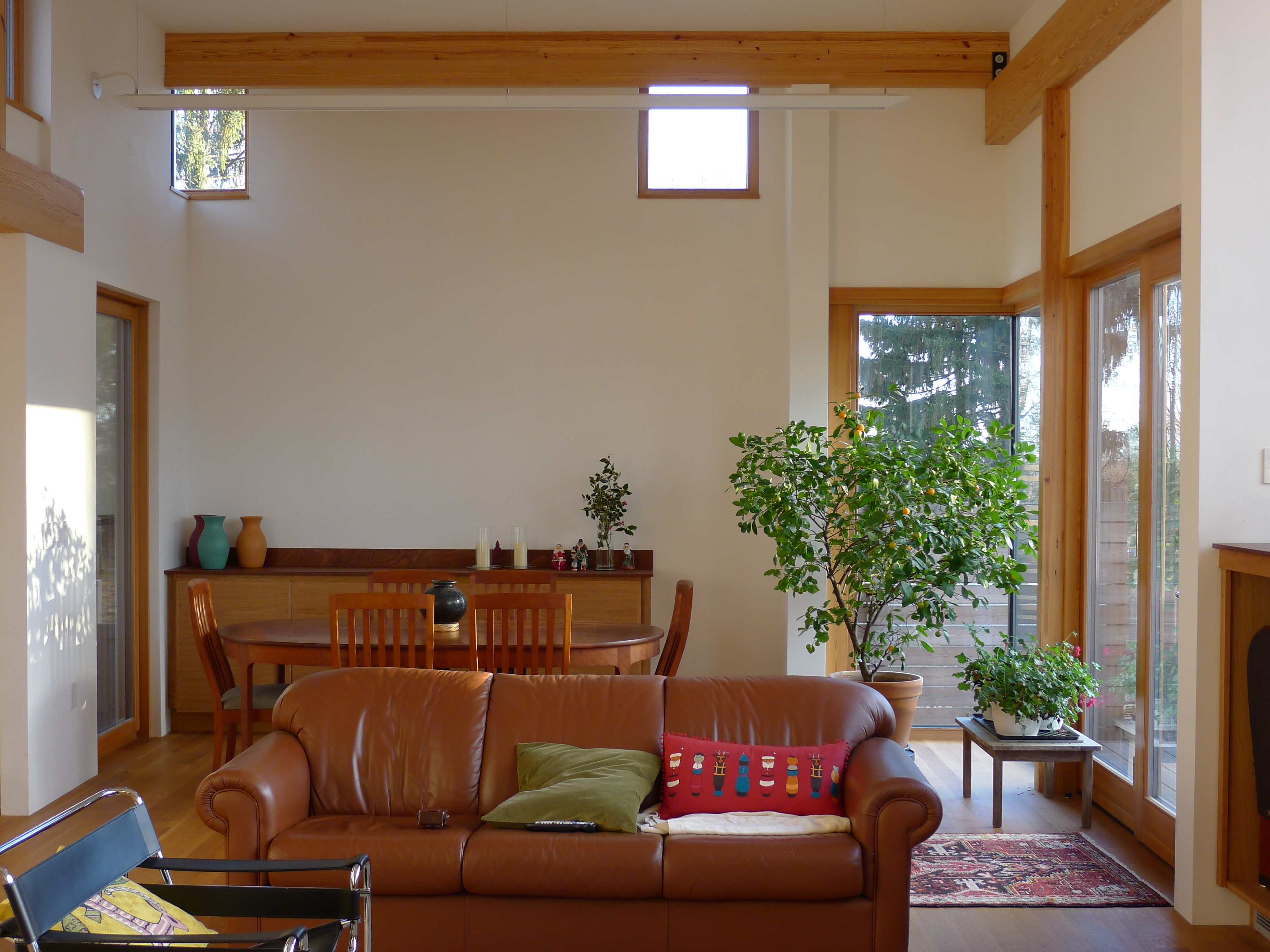 Prospect Street - Bildau & Bussmann Windows and Doors - Living Room