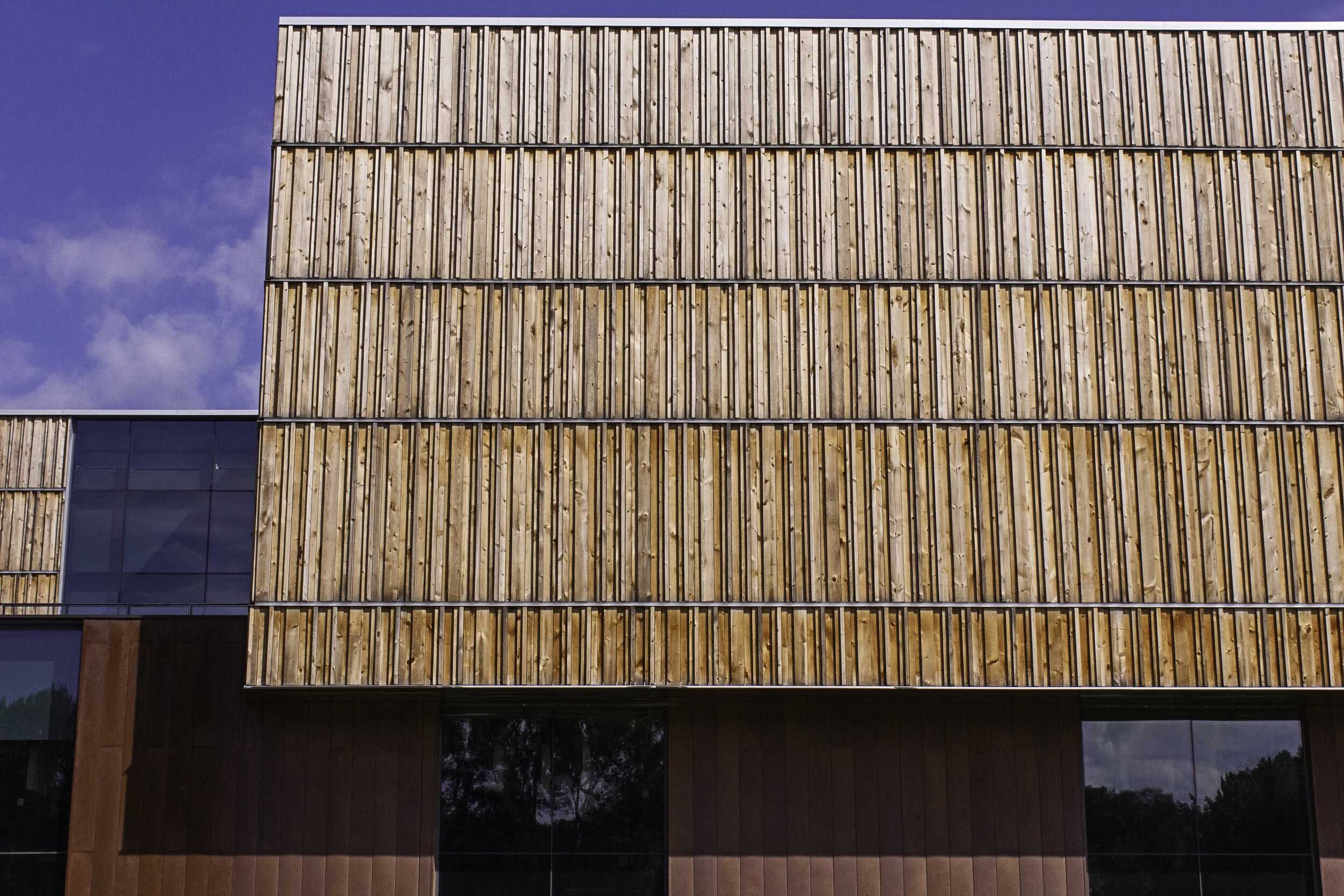 Bell Museum - Arbor Wood Thermally Modified Pine Cladding & Millwork
