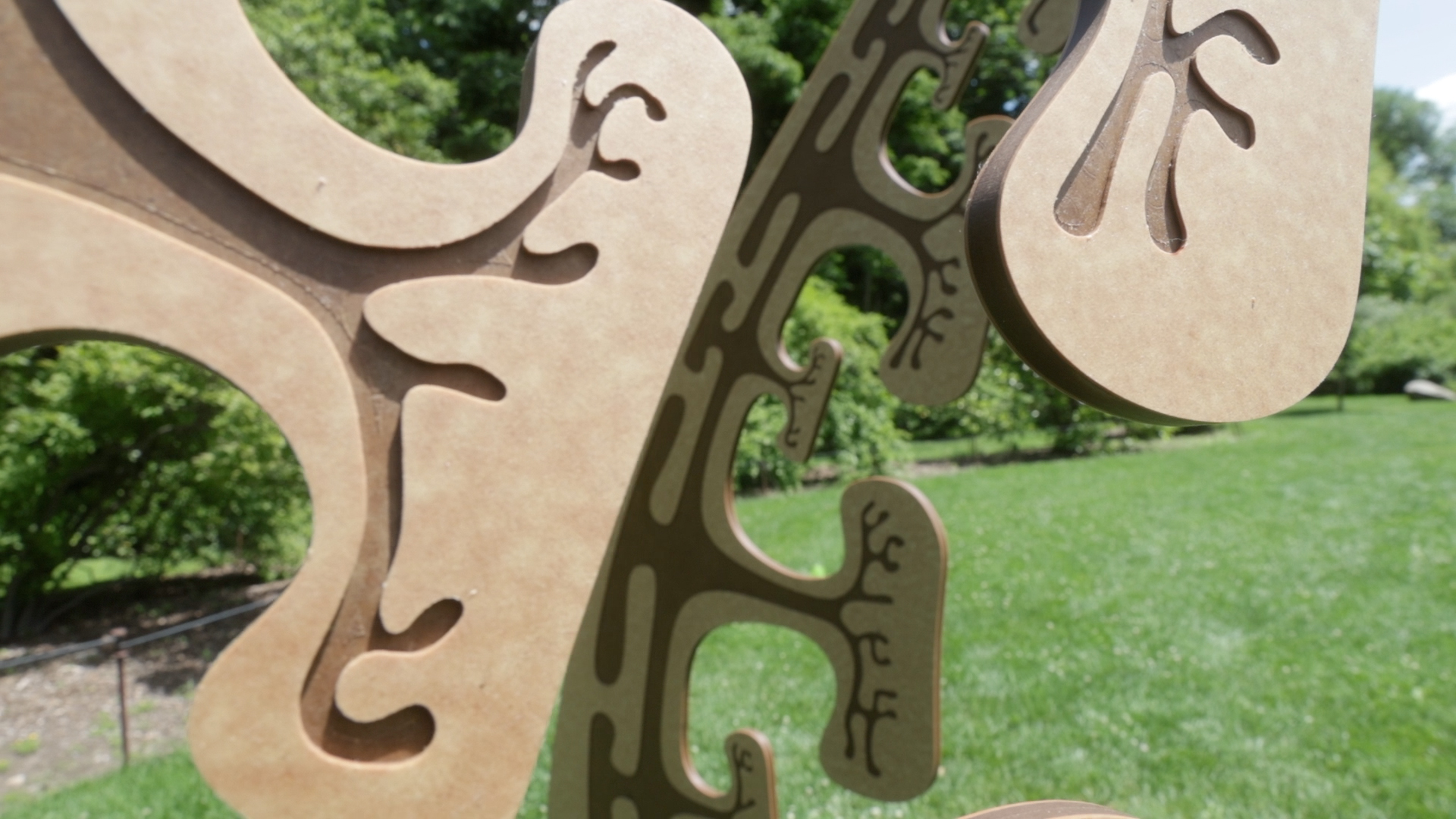 Wide Angle View of Seeds of Potential Art Installation - Image by Adrian Tillmann