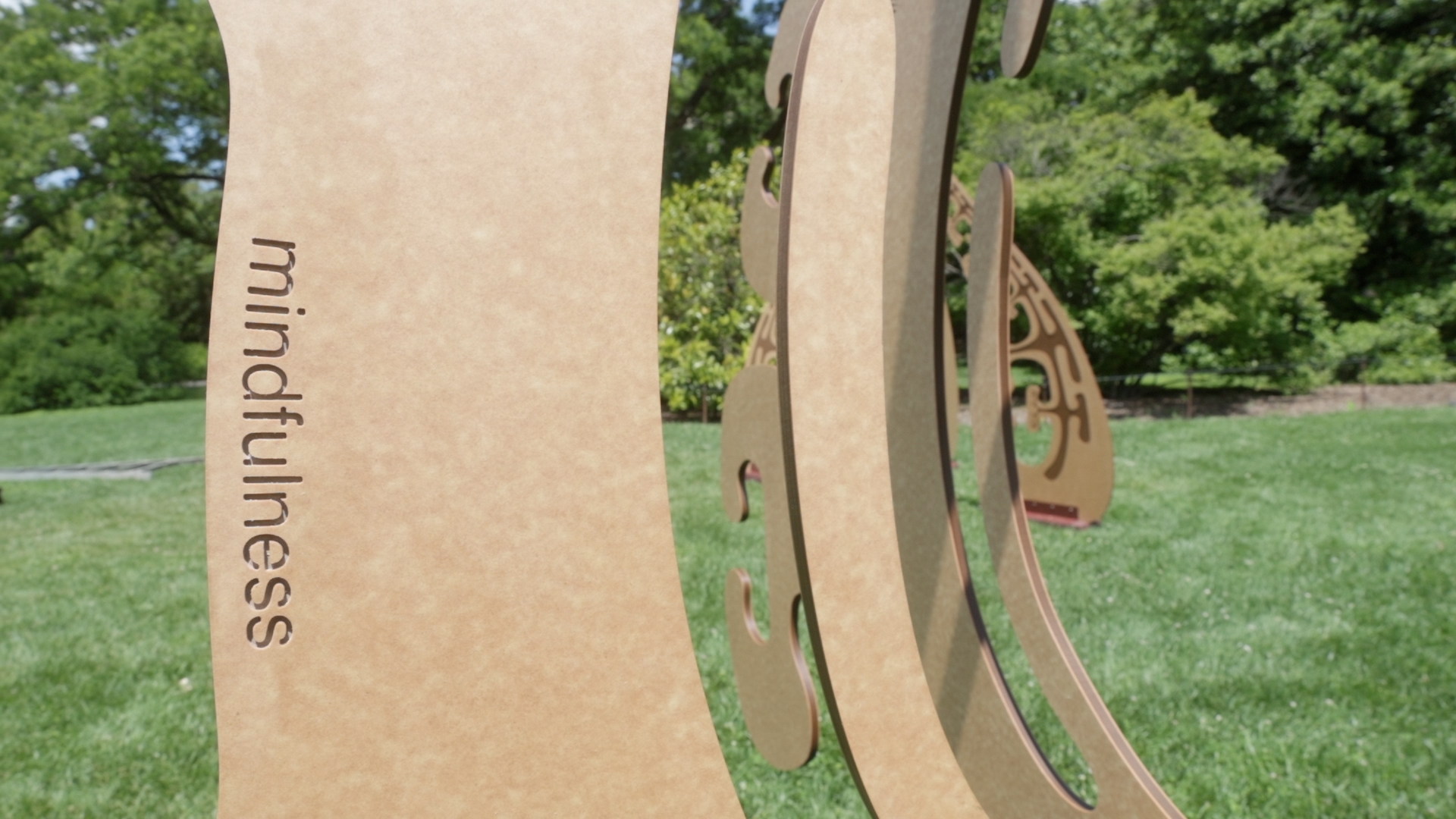 Wide Angle View of Seeds of Potential Art Installation - Image by Adrian Tillman