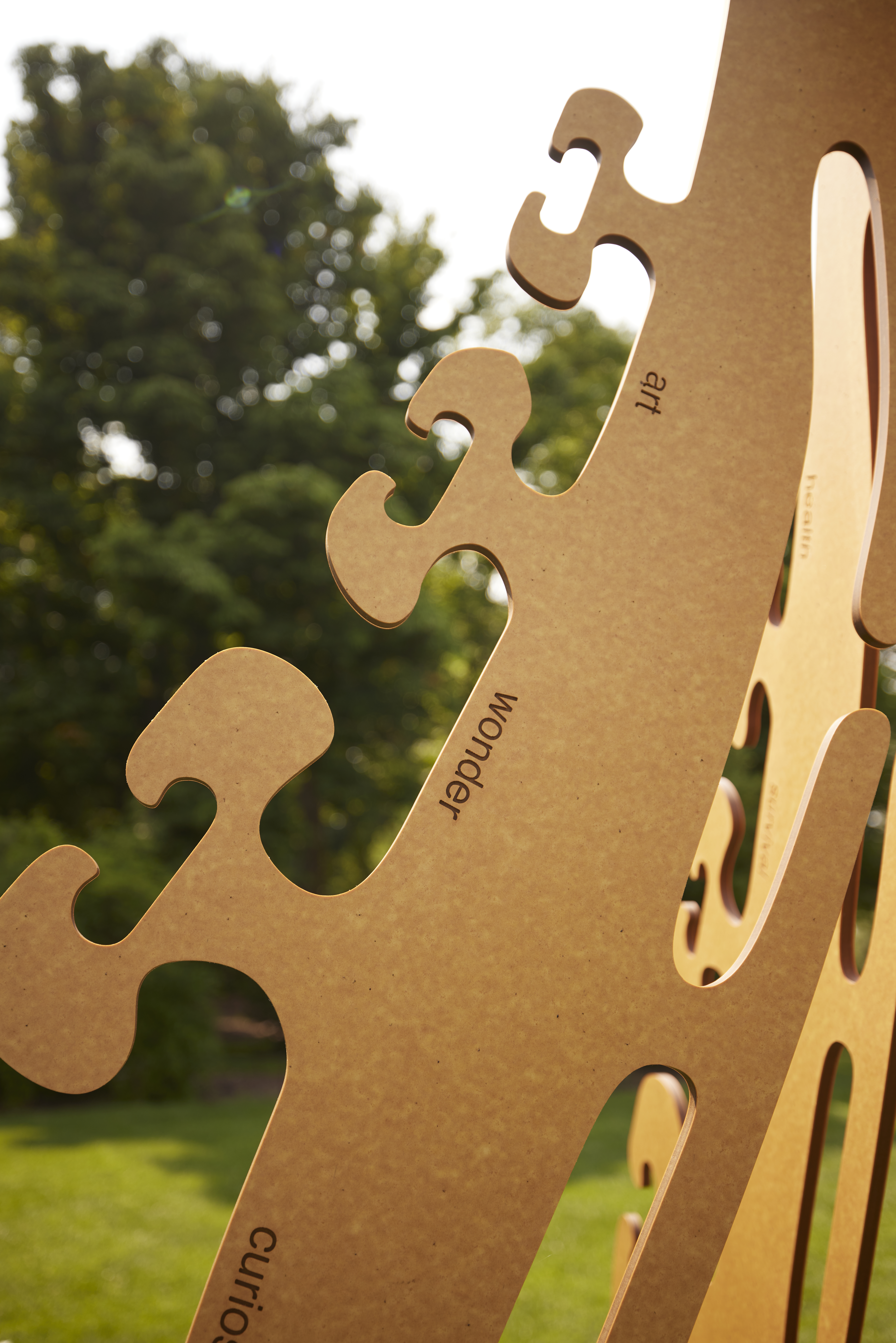 Wide Angle View of Seeds of Potential Art Installation by Seema Lisa Pandya